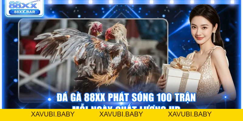 Trải Nghiệm Đá Gà 88XX Thật Kịch Tính Thưởng Lên Đến 1:8