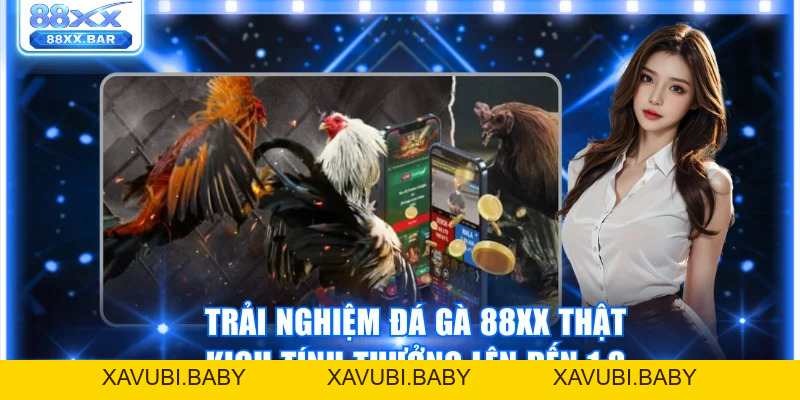 Trải Nghiệm Đá Gà 88XX Thật Kịch Tính Thưởng Lên Đến 1:8