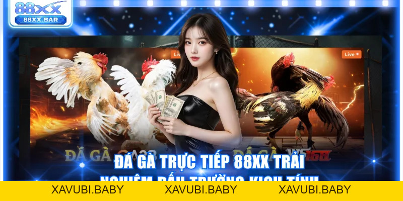 Trải Nghiệm Đá Gà 88XX Thật Kịch Tính Thưởng Lên Đến 1:8