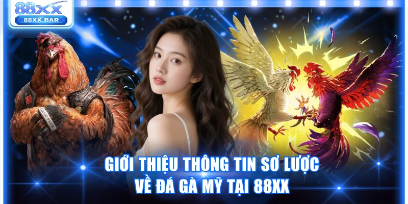 Trải Nghiệm Đá Gà Mỹ Tại 88XX Sân Chơi Cá Cược Đỉnh Cao
