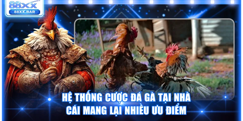 Trải Nghiệm Đá Gà Mỹ Tại 88XX Sân Chơi Cá Cược Đỉnh Cao
