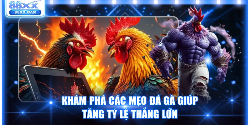 Khám Phá Những Mẹo Đá Gà Cựa Dao Giúp Dự Đoán Chuẩn Xác