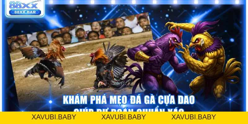 Trải Nghiệm Đá Gà 88XX Thật Kịch Tính Thưởng Lên Đến 1:8