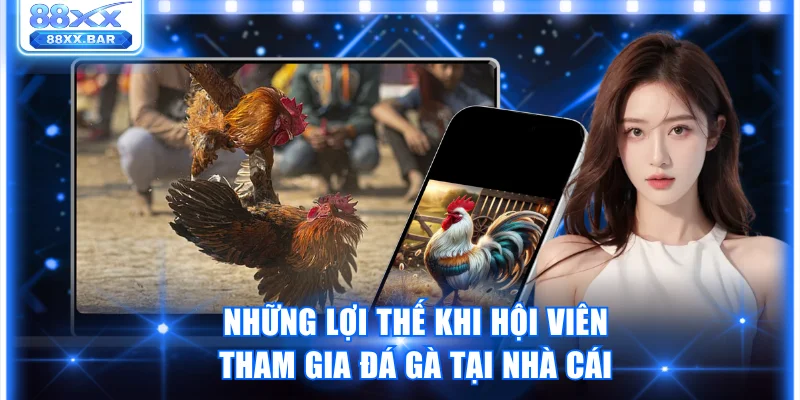 Đá Gà Trực Tiếp 88XX Trải Nghiệm Đấu Trường Kịch Tính