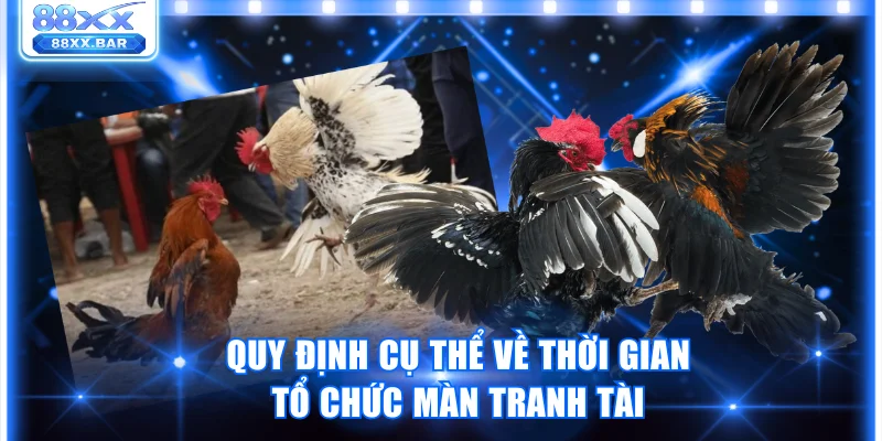 Đá Gà Cựa Sắt Và Những Quy Định Quan Trọng Trong Trận Đấu