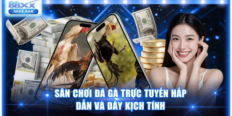 Trải Nghiệm Sảnh SV38 Thế Giới Cá Cược Đá Gà Đỉnh Cao