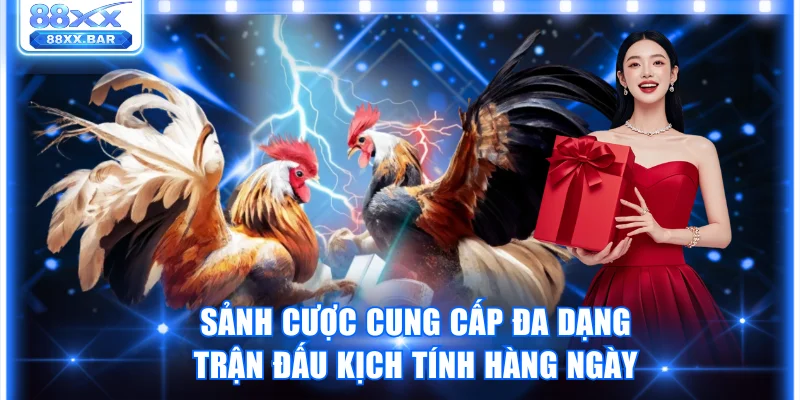 Trải Nghiệm Sảnh SV38 Thế Giới Cá Cược Đá Gà Đỉnh Cao