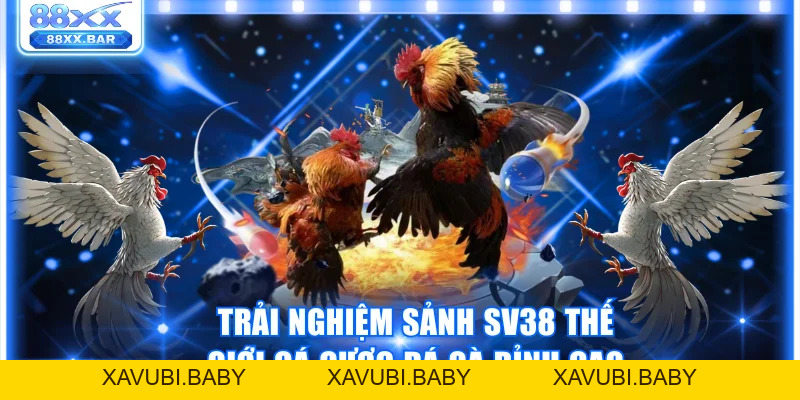 Trải Nghiệm Đá Gà 88XX Thật Kịch Tính Thưởng Lên Đến 1:8