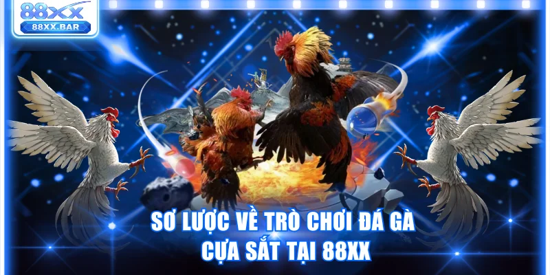 Đá Gà Cựa Sắt Và Những Quy Định Quan Trọng Trong Trận Đấu