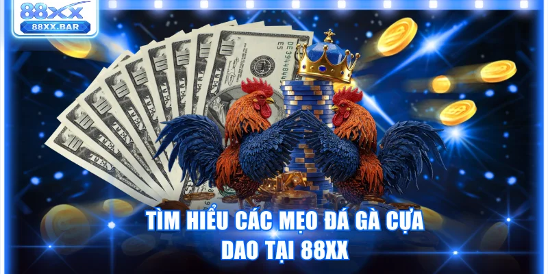Khám Phá Những Mẹo Đá Gà Cựa Dao Giúp Dự Đoán Chuẩn Xác