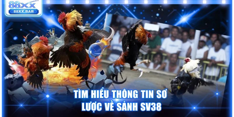 Trải Nghiệm Sảnh SV38 Thế Giới Cá Cược Đá Gà Đỉnh Cao
