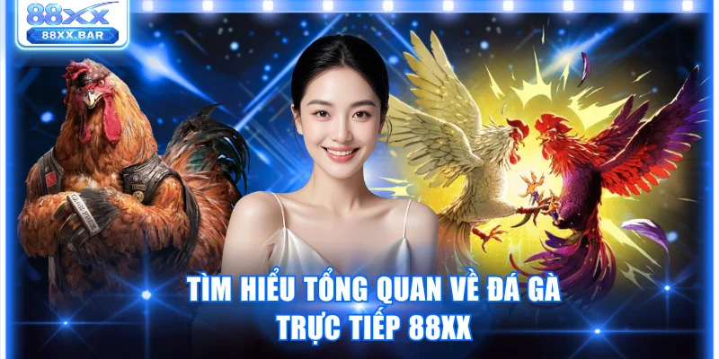 Đá Gà Trực Tiếp 88XX Trải Nghiệm Đấu Trường Kịch Tính